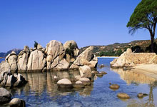 马刺队五虎将相助，主场完胜开拓者